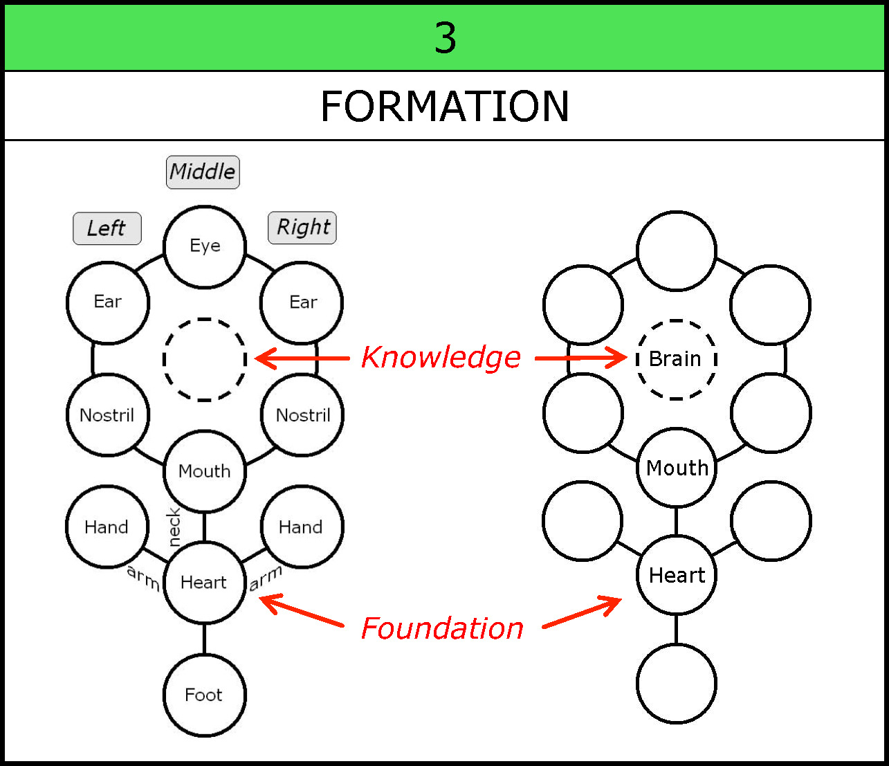 Formation-Heart Mouth Brain