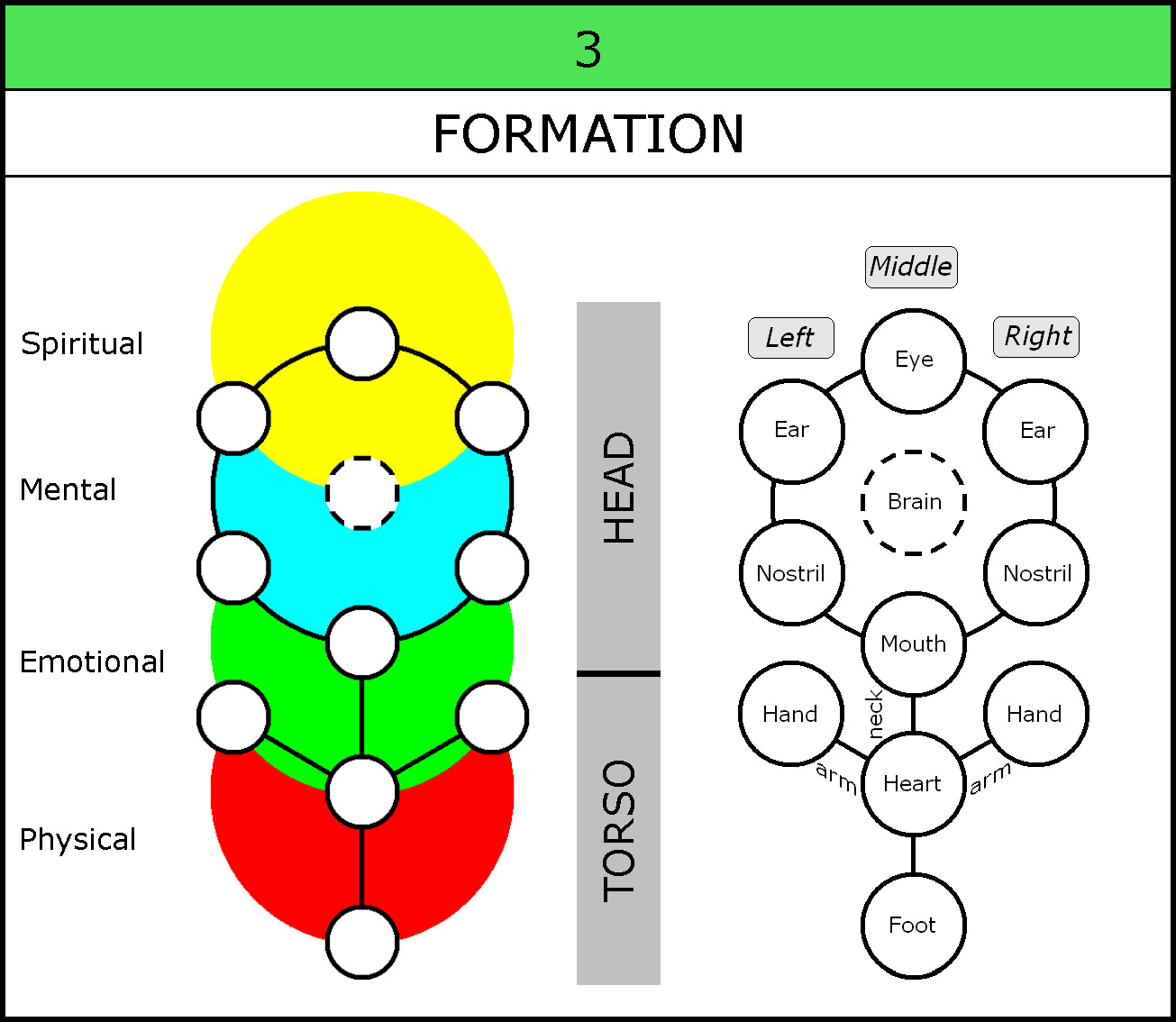 Chart-030-4 Levels-Formation-Organs