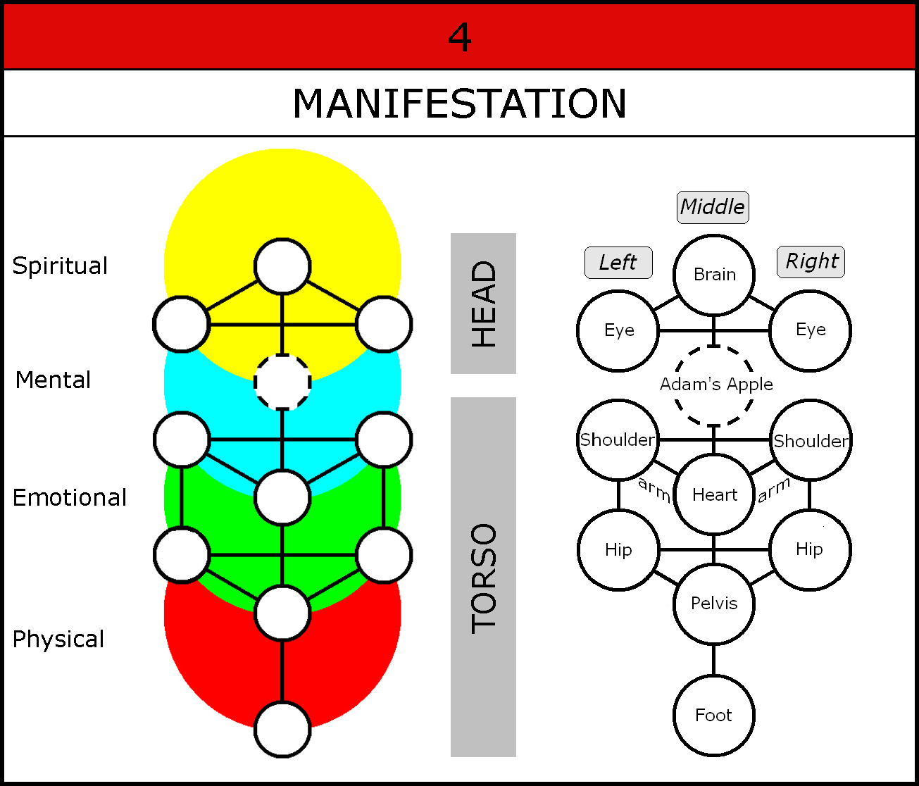 Chart-030-4 Levels-Manifestation-Organs